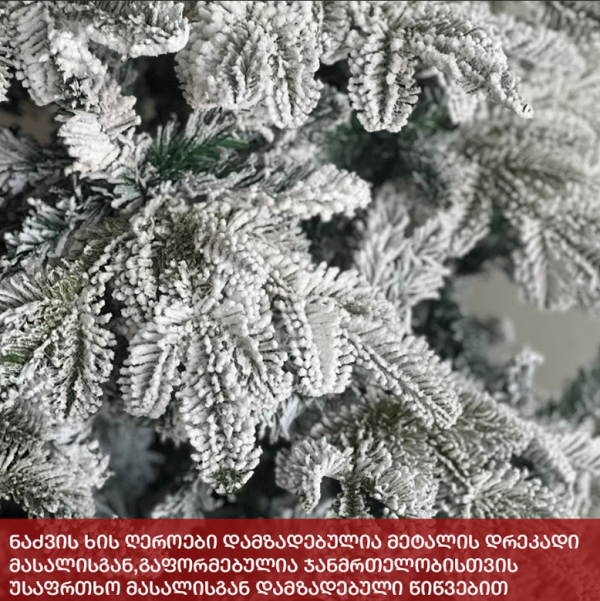 ნაძვის ხე სტოკჰოლმი 270სმ (KK-270)