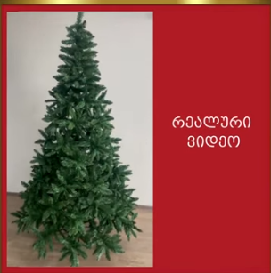 ნაძვის ხე ლონდონი 300 სმ (CC-300)