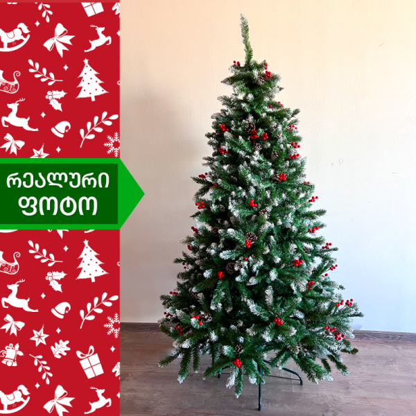 ნაძვის ხე კოსტა-რიკა 210სმ (GH-210)