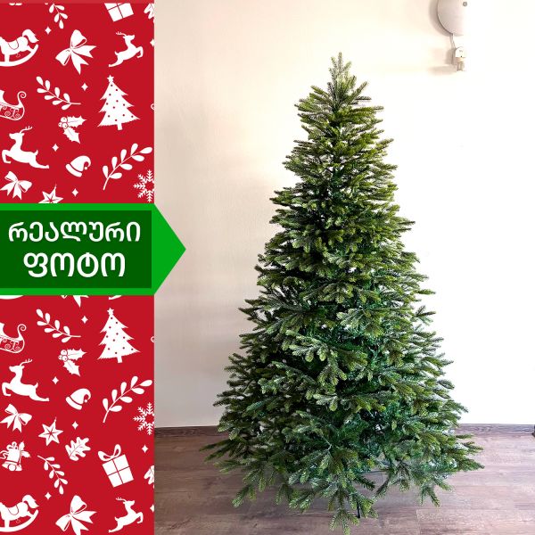 ნაძვის ხე დუბლინი 210 სმ (AA-210)